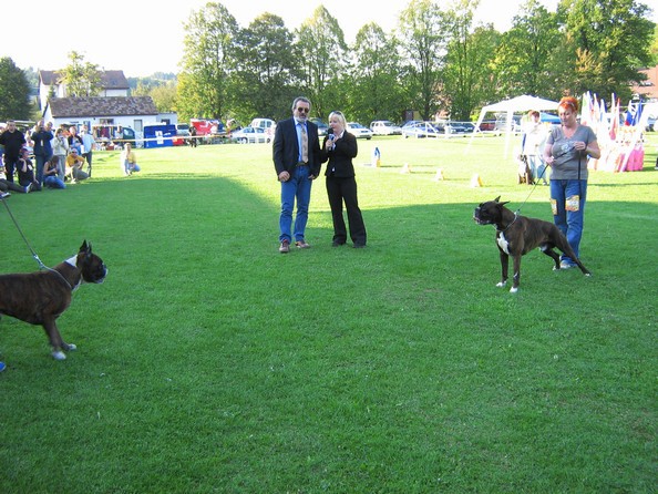www.boxer-show.eu