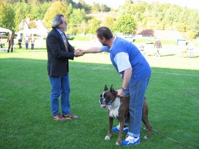 www.boxer-show.eu