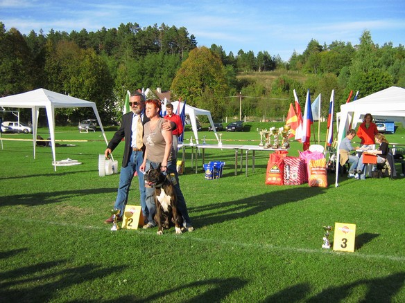 www.boxer-show.eu
