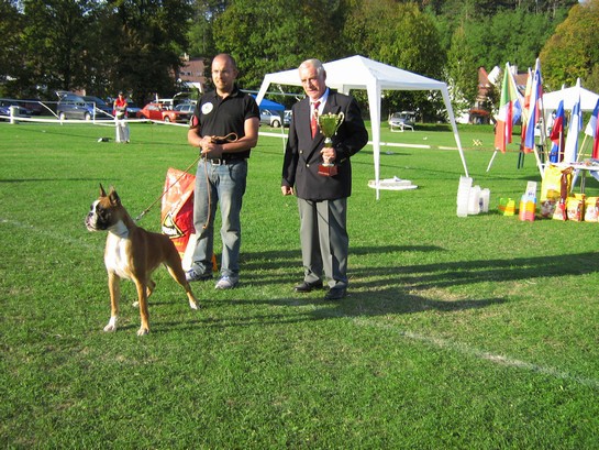 www.boxer-show.eu