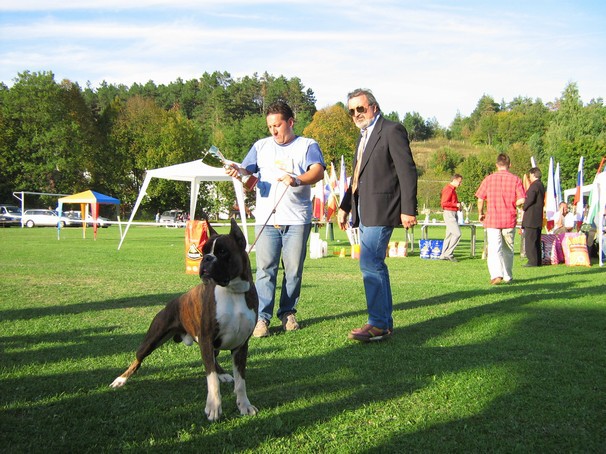 www.boxer-show.eu