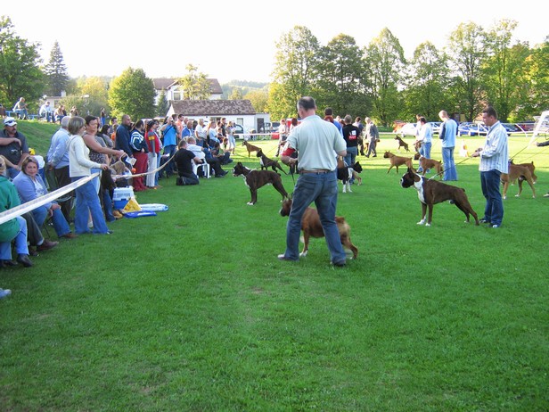 www.boxer-show.eu