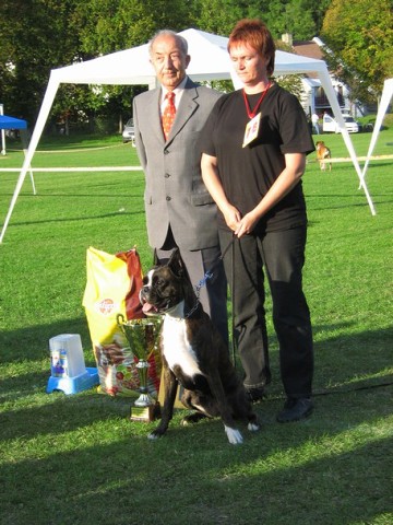 www.boxer-show.eu