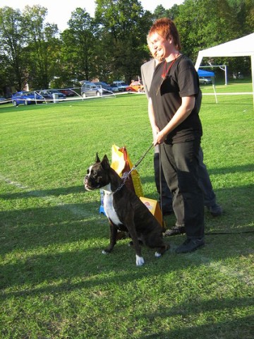 www.boxer-show.eu