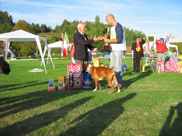 www.boxer-show.eu
