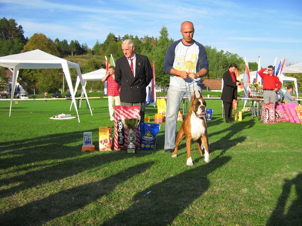 www.boxer-show.eu