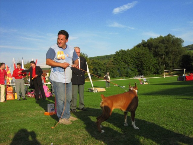 www.boxer-show.eu