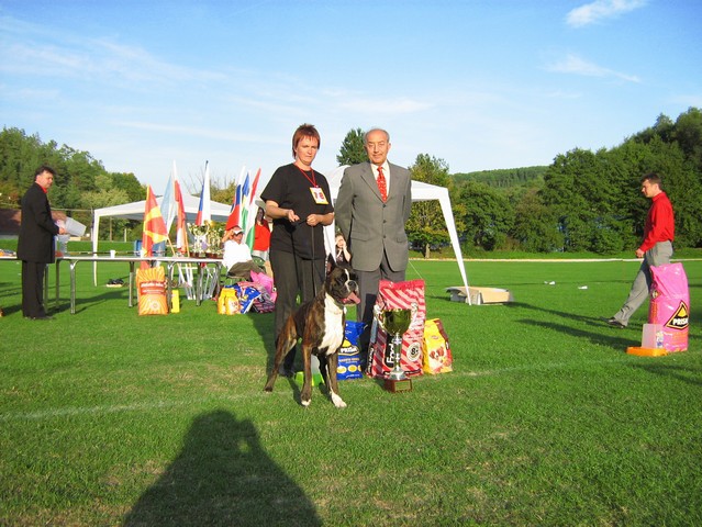 www.boxer-show.eu