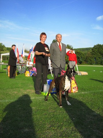 www.boxer-show.eu