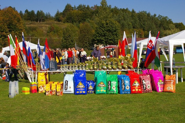 www.boxer-show.eu