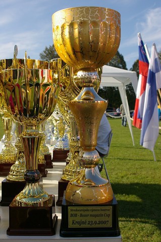 www.boxer-show.eu