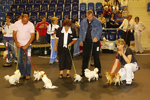 Kynologická revue *  www.dogsk.sk * www.eurodog.eu