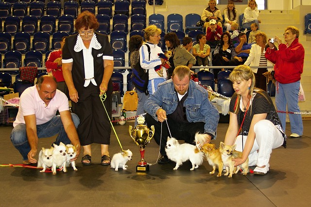 Kynologická revue *  www.dogsk.sk * www.eurodog.eu