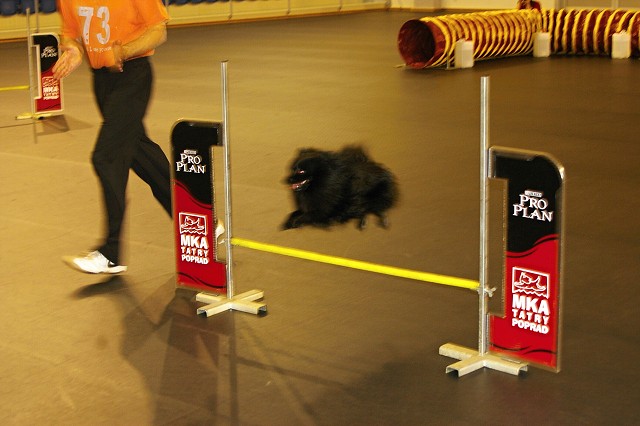 Kynologická revue *  www.dogsk.sk * www.eurodog.eu