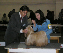 Judge: Mr Robert Kanas/SK