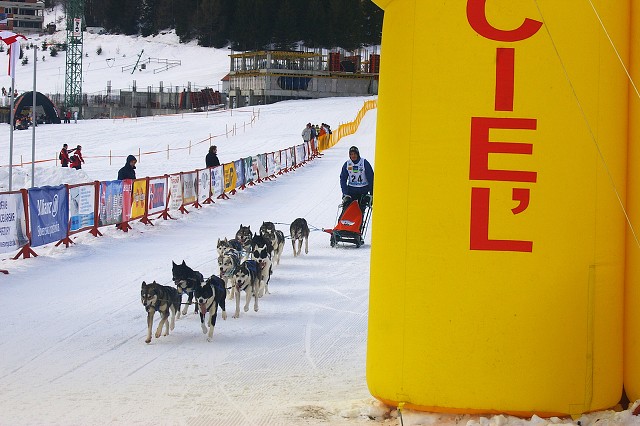Kynologická revue - www.dogsk.sk