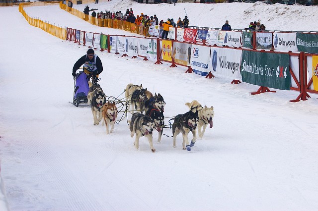Kynologická revue - www.dogsk.sk