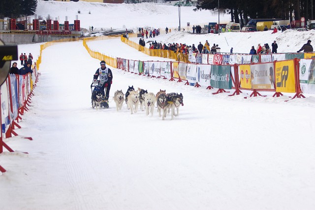 Kynologická revue - www.dogsk.sk