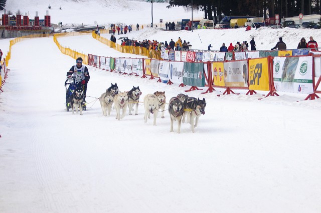 Kynologická revue - www.dogsk.sk