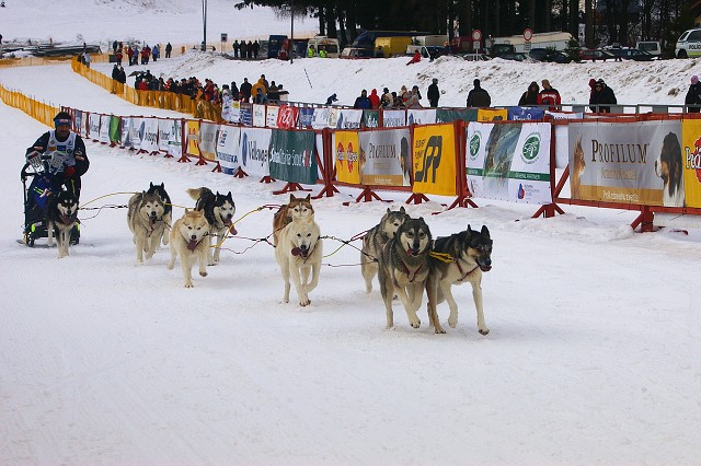 Kynologická revue - www.dogsk.sk