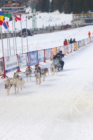 Kynologická revue - www.dogsk.sk
