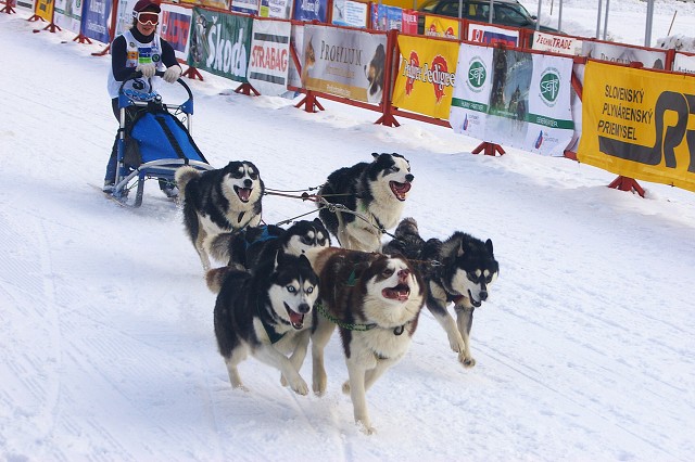 Kynologická revue - www.dogsk.sk