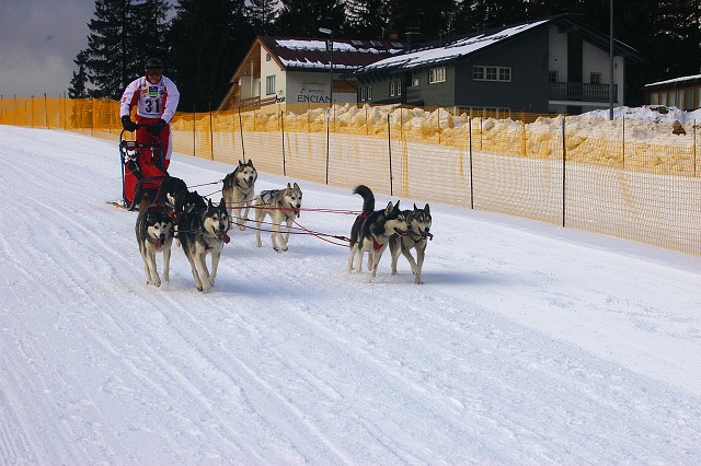 Kynologická revue - www.dogsk.sk