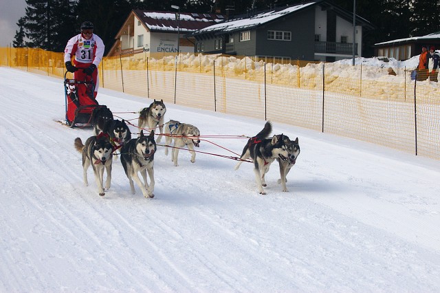 Kynologická revue - www.dogsk.sk