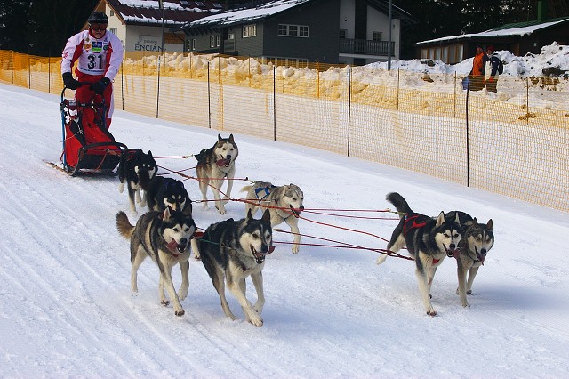 Kynologická revue - www.dogsk.sk