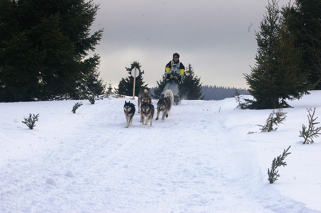Kynologická revue - www.dogsk.sk