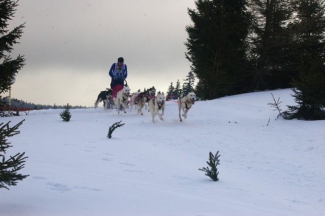 Kynologická revue - www.dogsk.sk