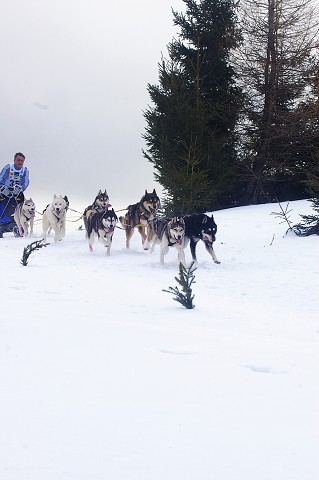 Kynologická revue - www.dogsk.sk