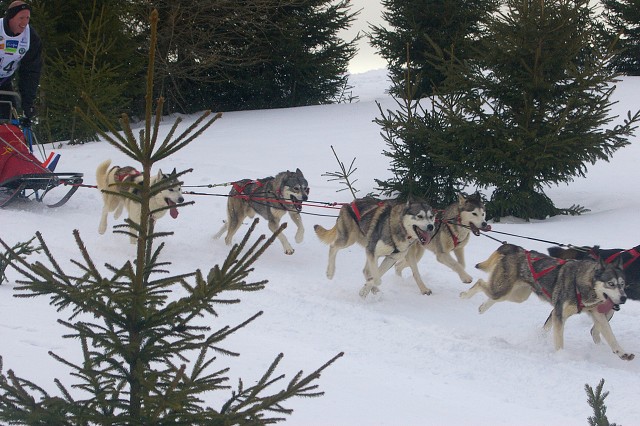 Kynologická revue - www.dogsk.sk
