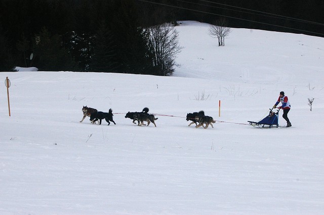 Kynologická revue - www.dogsk.sk
