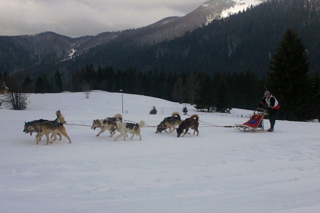 Kynologická revue - www.dogsk.sk