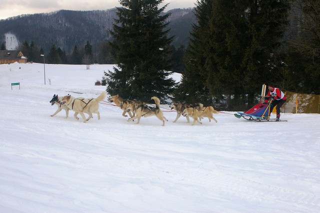 Kynologická revue - www.dogsk.sk