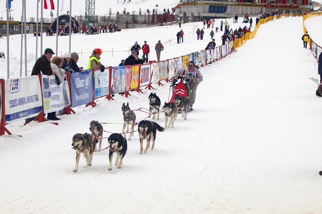 Kynologická revue - www.dogsk.sk