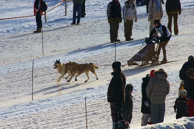 Kynologická revue - www.dogsk.sk