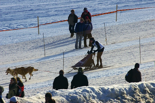 Kynologická revue - www.dogsk.sk