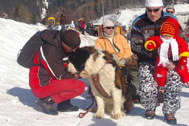 Kynologická revue - www.dogsk.sk