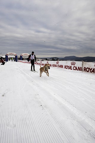 Kynologická revue - www.dogsk.sk