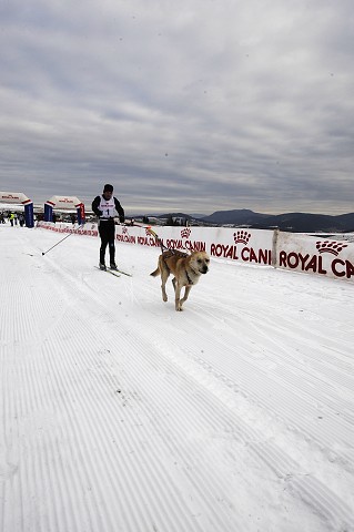 Kynologická revue - www.dogsk.sk
