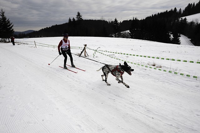 Kynologická revue - www.dogsk.sk