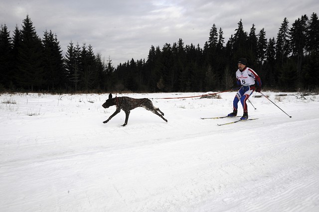 Kynologická revue - www.dogsk.sk