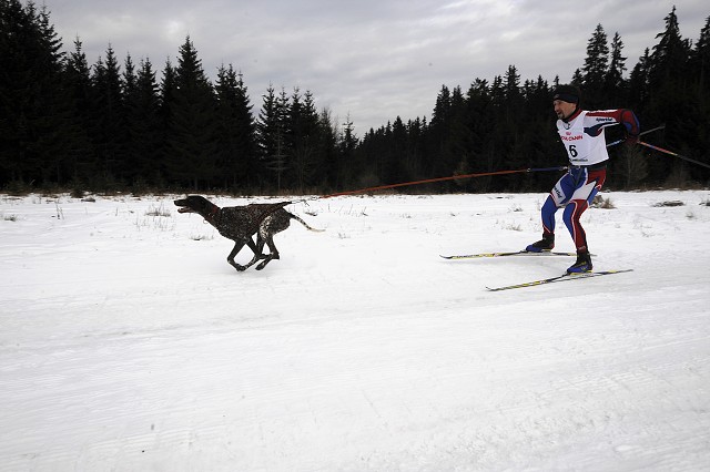Kynologická revue - www.dogsk.sk