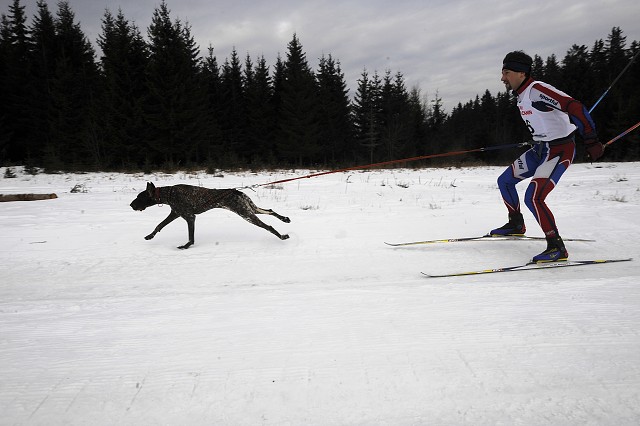 Kynologická revue - www.dogsk.sk