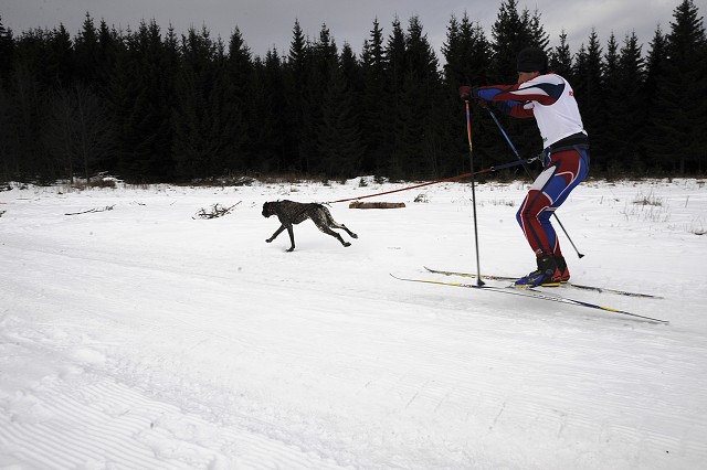 Kynologická revue - www.dogsk.sk