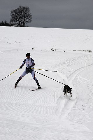 Kynologická revue - www.dogsk.sk