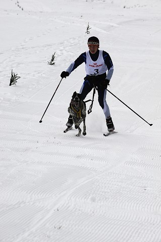 Kynologická revue - www.dogsk.sk