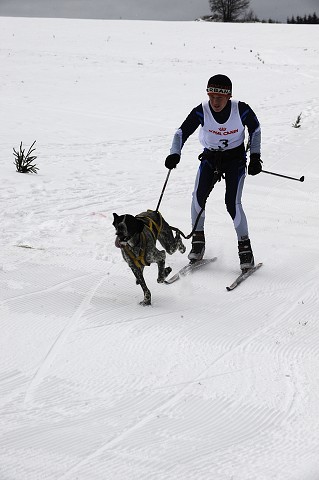 Kynologická revue - www.dogsk.sk